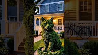 The Most Creative Home Garden Decoration You'll See Today Cat Plant Art 🐱✨🌱