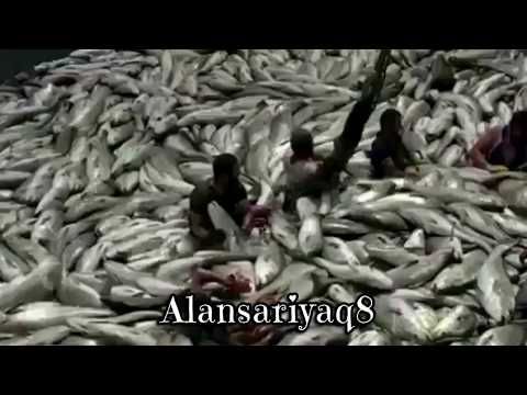 أنا مالي فيهاش عبد الله المهداوي بدون إيقاع Alansariya Q8