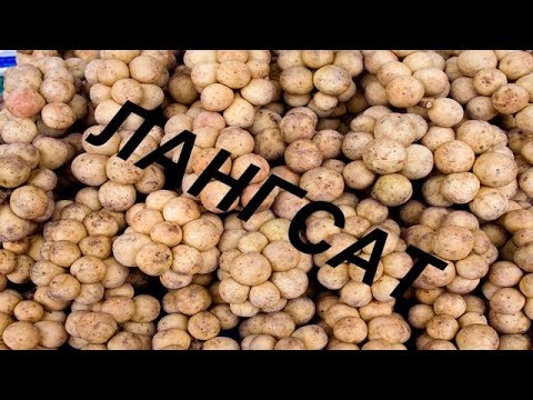 Видео: Лангсат