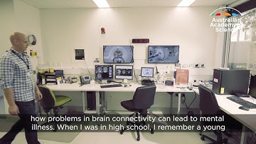 The brain network