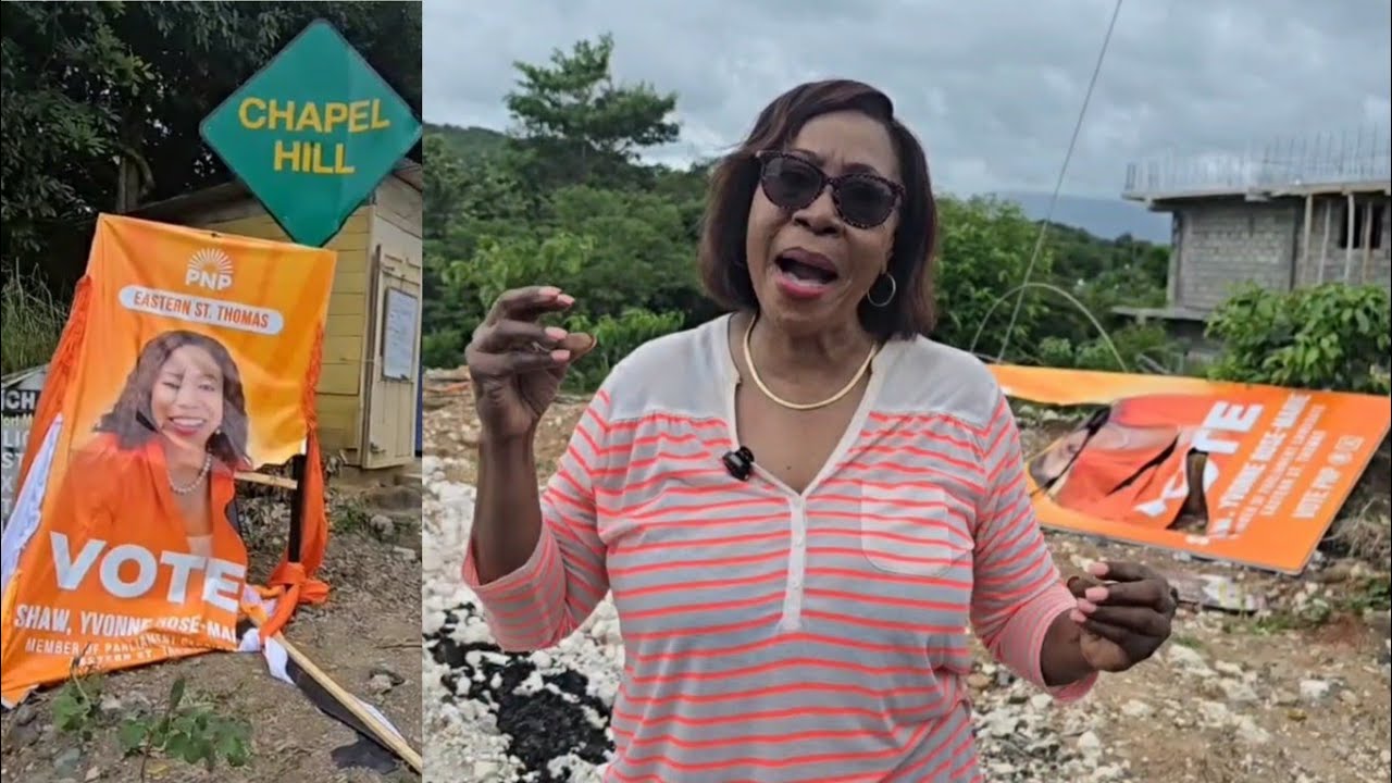 ННП обвиняет сторонников ЯЛП в уничтожении рекламного щита с изображением Розмари Шоу в восточной...