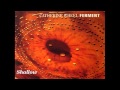 Catherine Wheel - Ferment (Full Album)