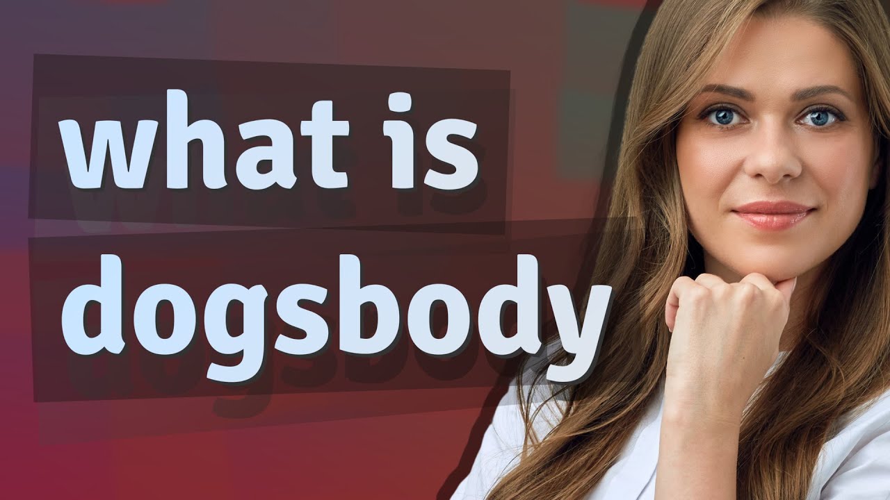 Dogsbody | meaning of Dogsbody