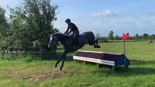 Bounty 5yo - XC training