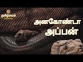 #Titanoboa |  Worlds BIGGEST Snake in Tamil | டைட்டானோபோவா