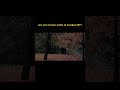 Эстетика учебы в МГУ на психолога #учеба #мгу #психология #aesthetic
