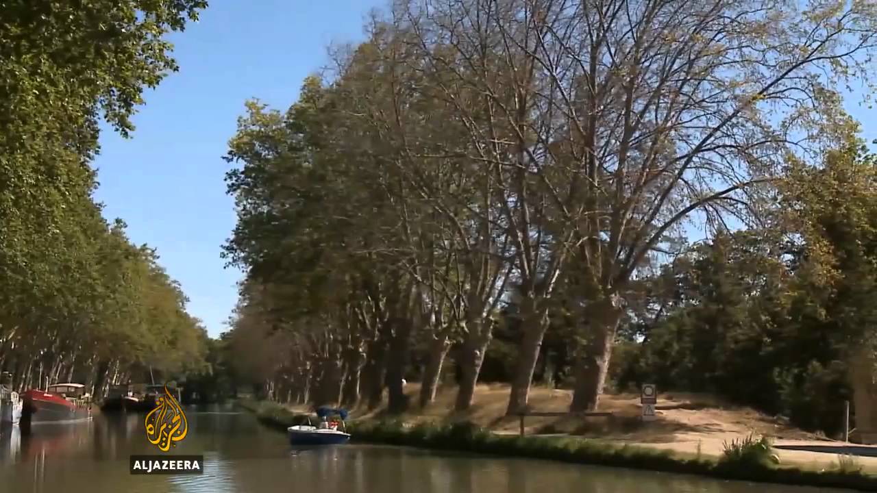 قناة دو ميدي تتعرض لهجوم من الفطريات - الجزيرة البلقان