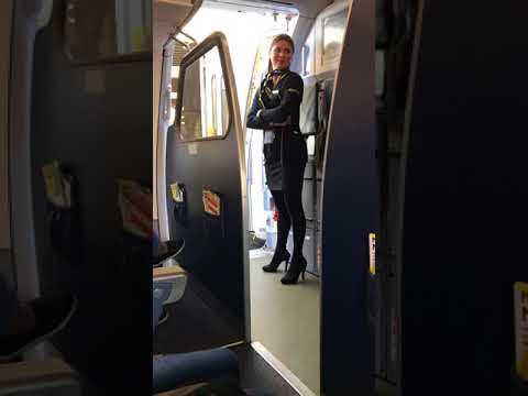 Spirit Airlines Airbus A320 LAX-ORD, closing the boarding door.