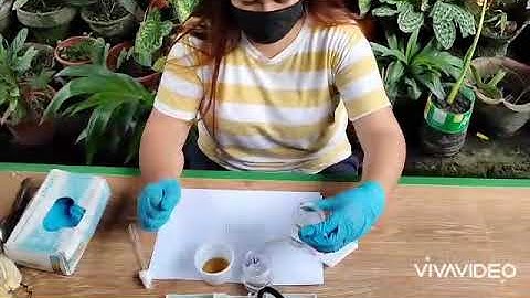 DIRECT FECAL SMEAR (DFS) BY CAMSA