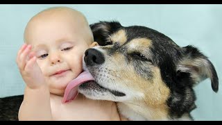 Cute Babies Playing With Dogs Compilation|cute baby dogs | Funny Baby And Pets |Funny Baby #6