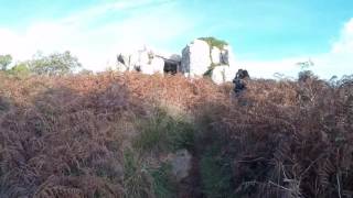 Anta De Andrenunes. Nov 16.