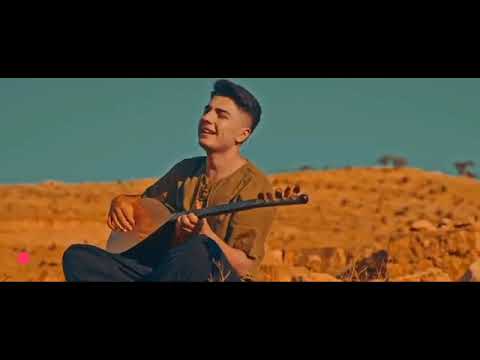 شيار كلي هفالا