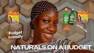 MUST HAVE CHEAP NATURAL HAIR PRODUCTS |  Cheap Products For Type 4 Hair