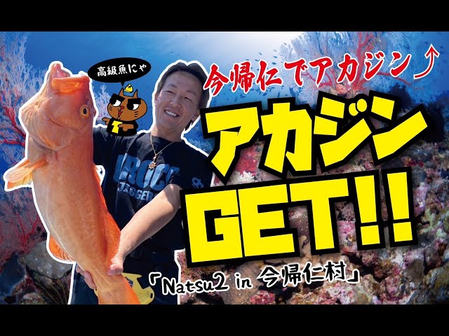 アカジンミーバイ【NATSU 2】 in今帰仁村/船釣り - YouTube