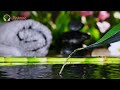3 Hours / Relaxing music with water sounds (6 pm)