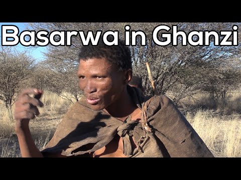 Video: Bosjesmannen - Mensen Van Afrika - Alternatieve Mening