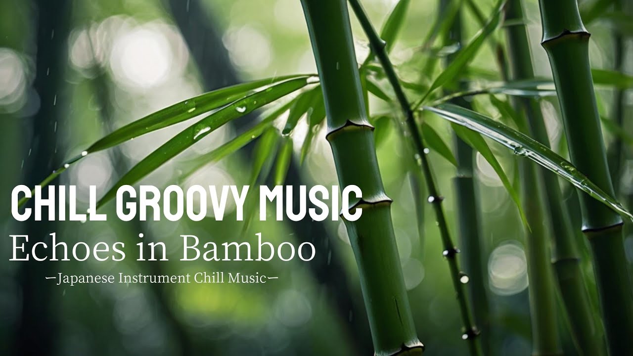 Echoes in Bamboo | Japanese Instrument Chill Music - YouTube
