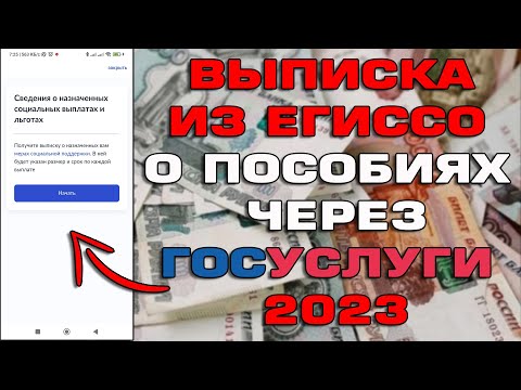 Выписка из ЕГИССО о пособиях и сроке действия через Госуслуги 2023