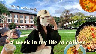 미국 대학생 vlog: 잘먹고 에세이 쓰고 조별과제하는 현실적인 유학생 브이로그 (ft. 3년만에 자른 앞머리)