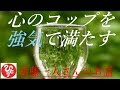 【斎藤一人さん】「心のコップを強気で満たす」みんな弱気に負けちゃだめだよ、俺たち生きていかなきゃならないんだから。