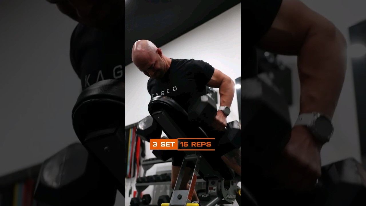 Working out your back muscles is crucial. improve workouts, posture, and reduce the risk of injury.