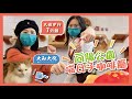 【大和大悅】滿屋貓咪的咖啡廳．向陽公園旁．大悅步行7分鐘．喵日子療癒咖啡廳！volg2