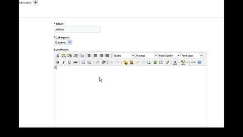 Website Dublin - Adding an article in CMSMS