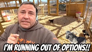 I Should’ve Done This When She First Showed Up on the property￼!! She Is Terrorizing Us!!￼￼￼