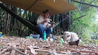 Tropical Breakfast Ramble