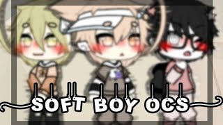 🎀} Soft Ideas Oc For Boys {🎀}_, Gacha Life