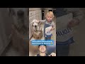 Parents Can't Decide Whether to Laugh or Cry at These Kids – Part 50