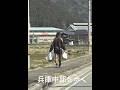 みっけた原始人放浪記#原始人#放浪者 #旅人 兵庫中部多可町を軽快なフットワーク