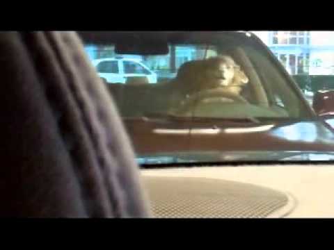 2011 Hyundai Elantra Sheep Commercial - YouTube