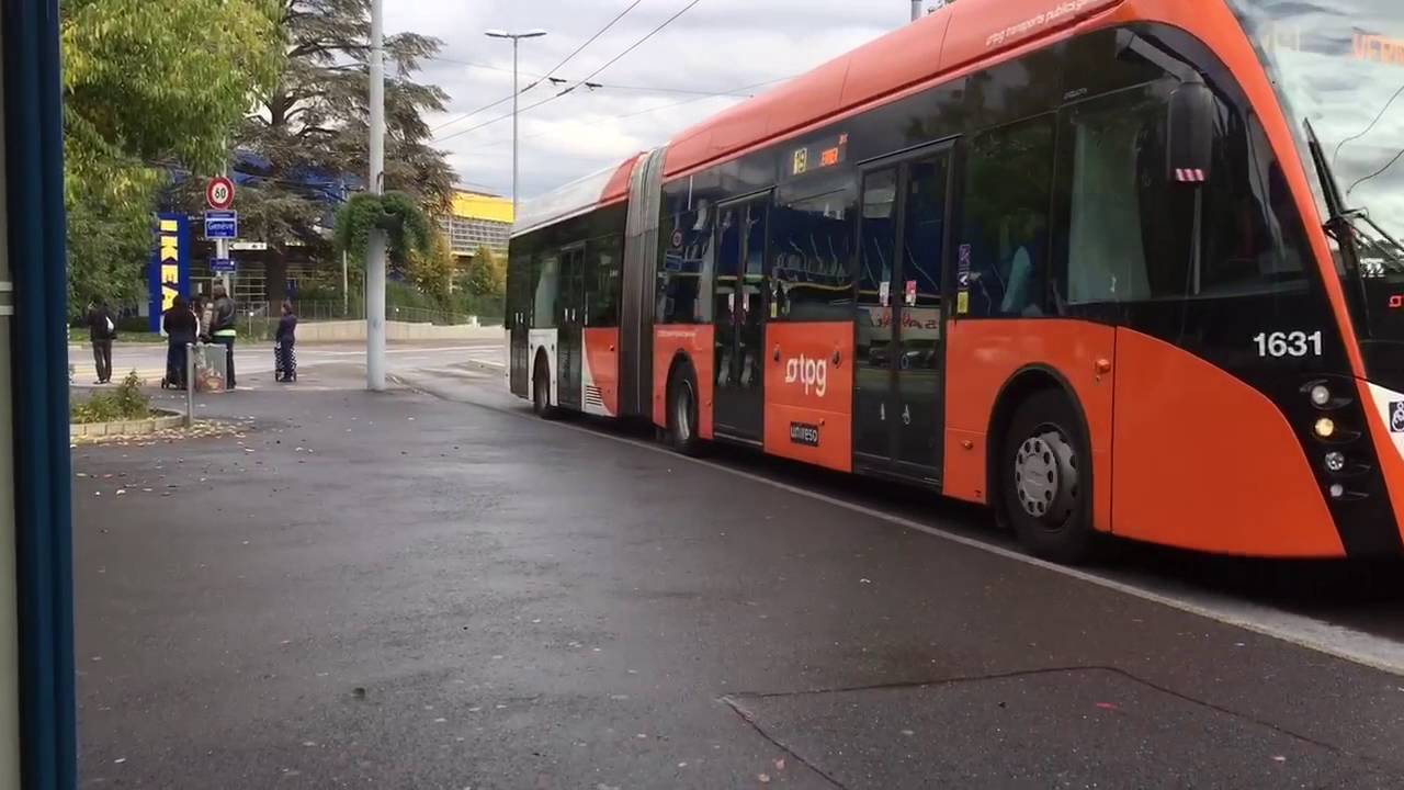 Débuts à Genève - partie 9: Levée de perches