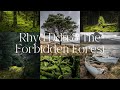 Rhyd ddu north wales  woodland  landscape photography  welcome to narnia the forbidden forest