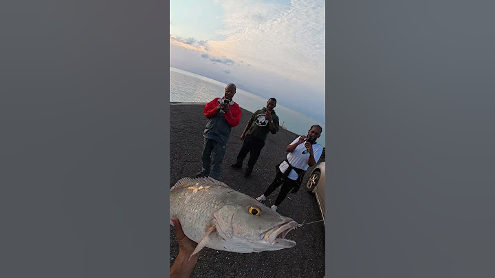 🔥 Catching Dinner LIVE in Front of My Fans! + BONUS Hookup Action!