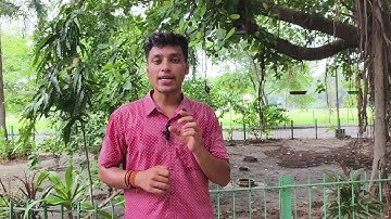 S Y & T Y Bcom Regular Lectures Starting Update #msu #msubaroda #msuniversity #ourmsu