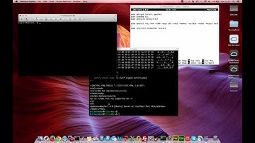 Real-life Heartbleed Demo