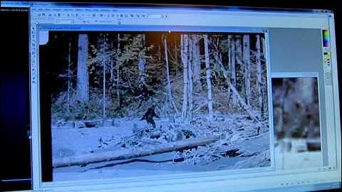 M K Davis asks the  question "When was the Patterson film taken and who took it"?