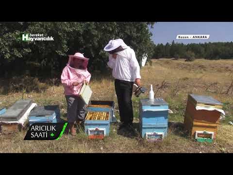 Video: Sonbaharda Ve Yaz Sonunda Doğru Beslenme