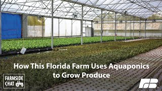 How This Florida Farm Uses Aquaponics to Grow Produce