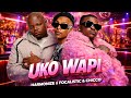 Harmonize X Focalistic Chicco We Uko Wapi Official Video