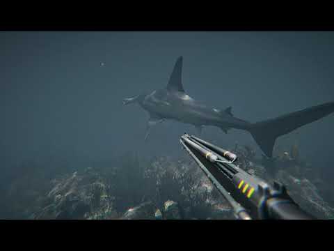 : Hammerhead Shark