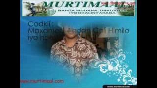 Hees Cusub : SAREEDO HIMILO