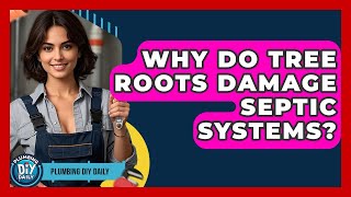 Why Do Tree Roots Damage Septic Systems? - Plumbing DIY Daily