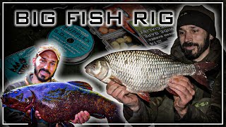 How To Tie A Helicopter Rig For Specimen Fish | Daniel Woolcott