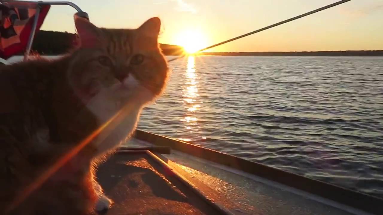 finally setting sail to the Florida Keys on a 27ft sailboat - YouTube