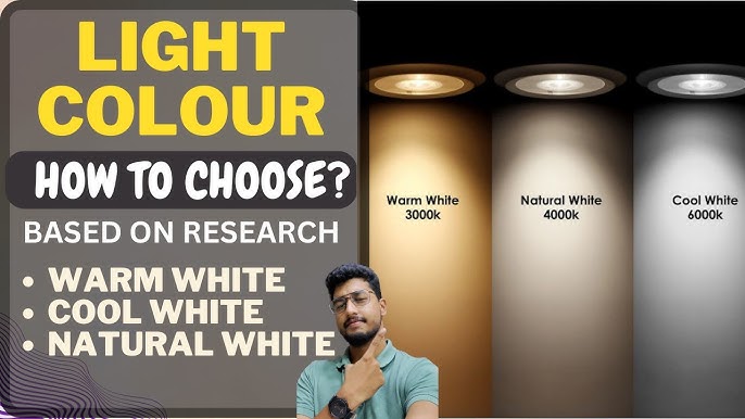 What are Warm White, Soft White, Cool White, and Daylight Light