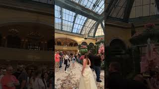 Bellagio Conservatory Summer Display 2025