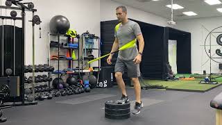 Whatsthatstrap 3D Strap - Elevated Step Down
